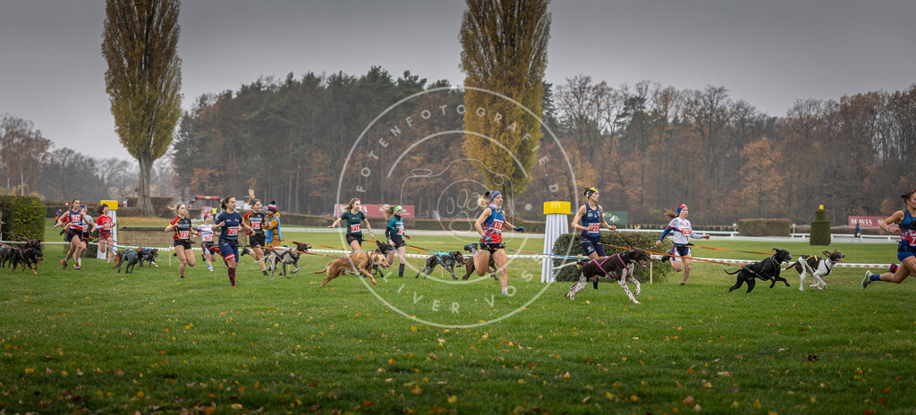 CaniXpix_DV3A8771 | Hundefotografie, Tierfotograf, Pfotenfotografie, Fotoshooting Hund, Hunde Portrait, Hundesport, Hundeportraits, Heideshooting, Hunde, Sportfotograf, Hundefotograf, Turnierhundsport, THS,  - Realisiert mit Pictrs.com