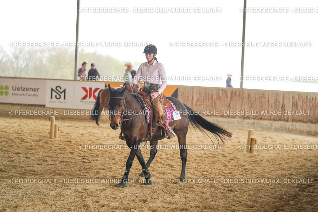 DSC05320 | Pferdegrafie