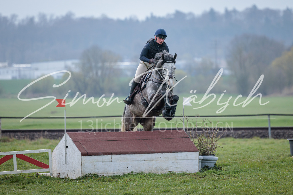 20260329-_3LI4260 | Tierfotografie Pferde, Hunde, Katzen, Haustiere.
Turnierfotografie Reitturniere, Reiten, Springreiten, Dressur in Hanau, dem Main-Kinzig-Kreis und dem Rhein-Main- Gebiet um Frankfurt