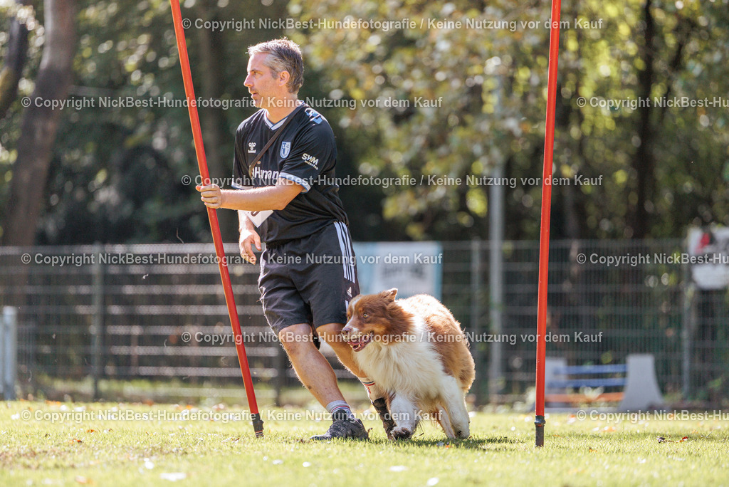 THS-HSV-Blumenthal-2026-Nickbest-Hundefotografie-3910 | Dein Hund! Dein Moment! Deine Erinnerungen! Hundefotografie in Bremen Blumenthal. Ich fange die besonderen Momente deines Vierbeiners ein – ob Indoor mit Blitzanlage oder in der freien Natur. Sicher dir dein Moment und dein Termin für eure Erinnerungen.