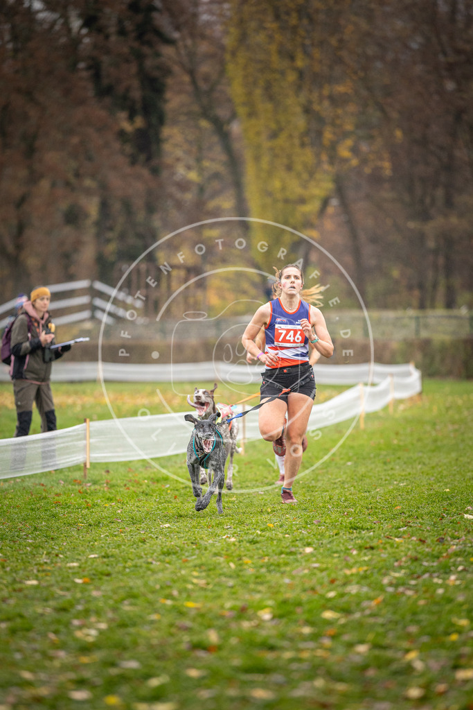 CaniXpix_DV3A9156 | Hundefotografie, Tierfotograf, Pfotenfotografie, Fotoshooting Hund, Hunde Portrait, Hundesport, Hundeportraits, Heideshooting, Hunde, Sportfotograf, Hundefotograf, Turnierhundsport, THS,  - Realisiert mit Pictrs.com