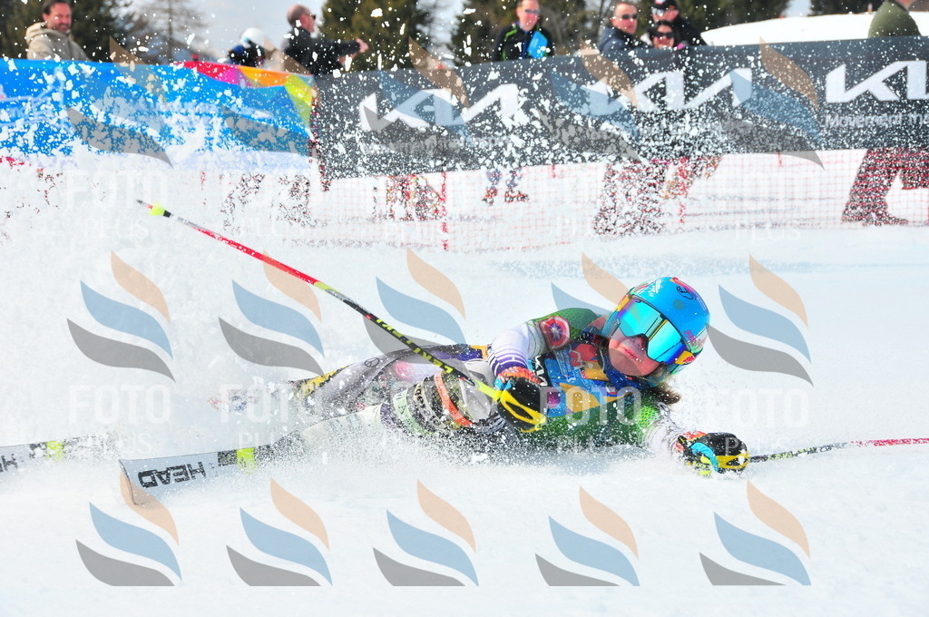 DSC_2711 | holidayphoto