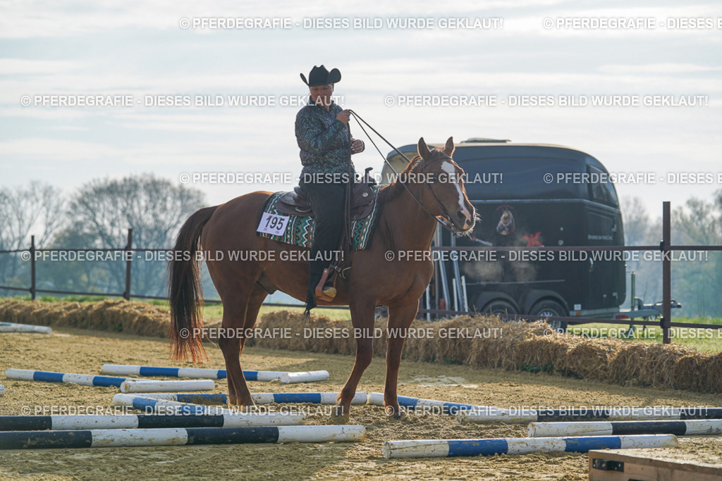 DSC00560 | Pferdegrafie