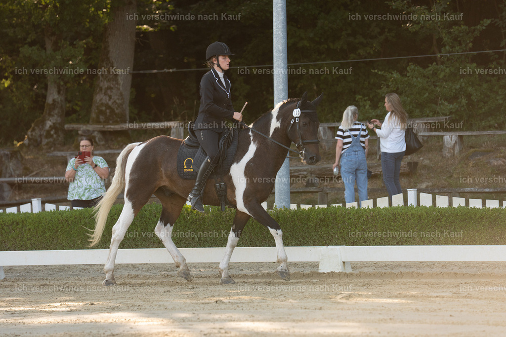 WA_DR_115_SinaFilmArt_IN00108 | working equitationturnier fotograf videograf stoibphotography marixx film working equitation deutschland reitsport turnierfotografie eventfotografie equestrian events