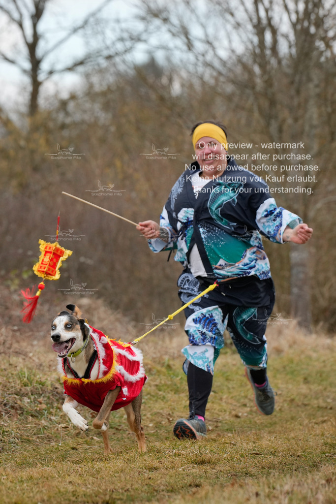 Fasching-64_2 | stephaniefillaphotographie - Realisiert mit Pictrs.com