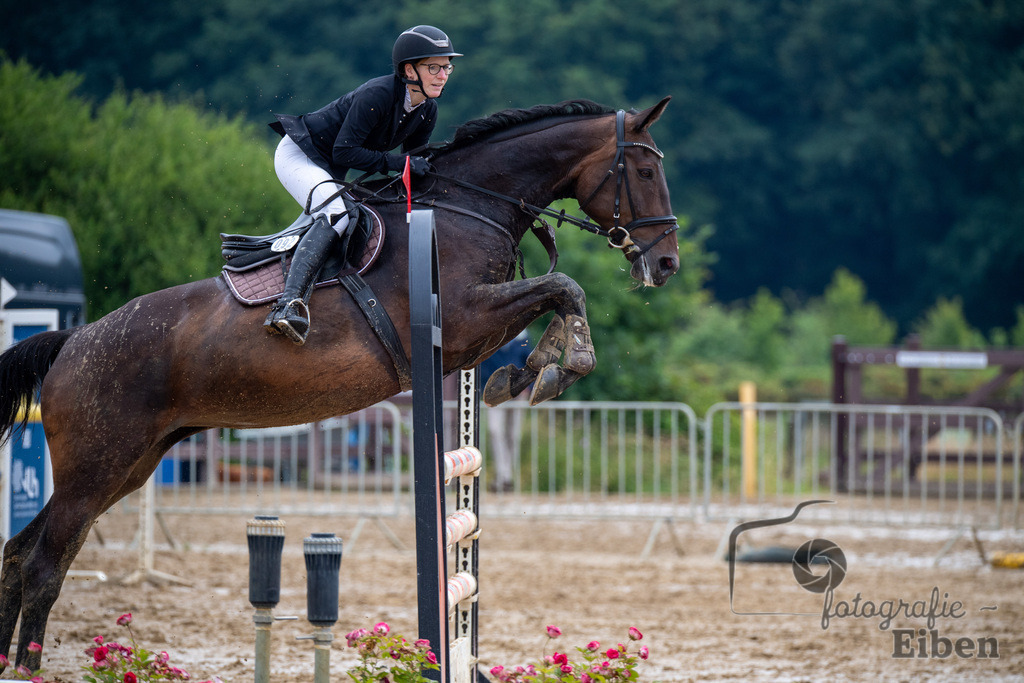 Springturnier Ammerländer Reitclub | Springturnier Ammerländer Reitclub (Punktespringprüfung KI.L 115cm am 30.06.2024; in Westerstede (Ammerländer Reitclub), Photo: Philip Eiben 2024 - Realisiert mit Pictrs.com