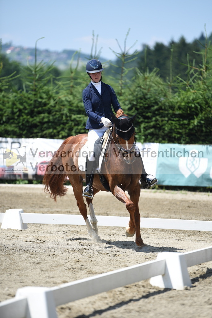 DSC_0598 | equestrian-live-com