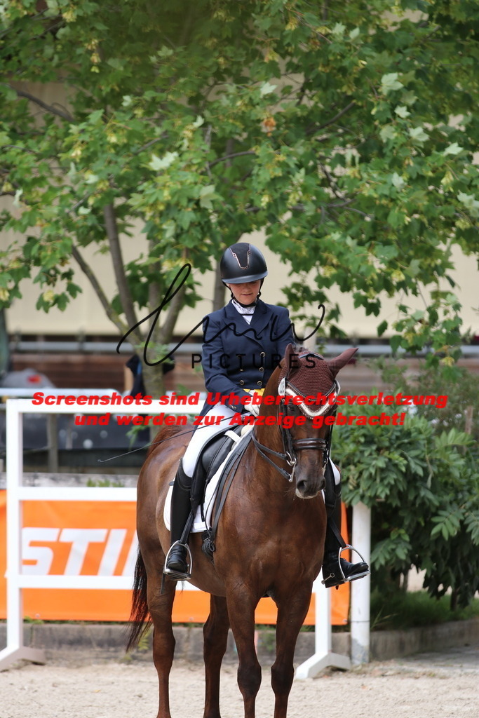 IMG_1766 | lmwpictures - Realisiert mit Pictrs.com