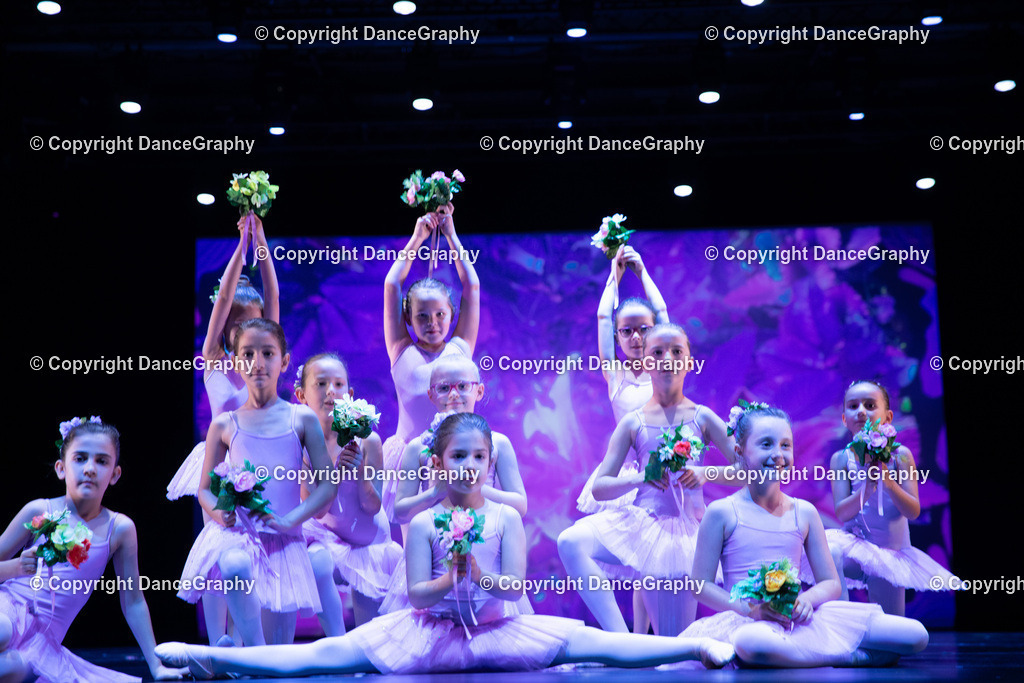 GPHY4895 | DanceGraphy - Realisiert mit Pictrs.com