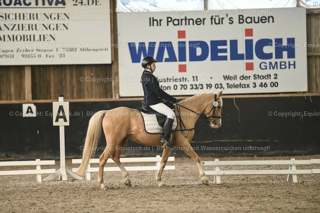 20231029_02_Reiter-WB_Schritt-Trab_Abteilung-01_0064 | Foto: Thomas Hartig