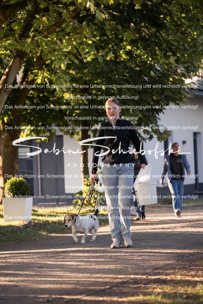 2025_05_31_DSCF2353 | People- und Tierfotografie, Imageaufnahmen, Veranstaltungsfotografie und Wandbilder aus der Natur ★ Made in Germany ✔️ Druck + Downloads ✔️ Naturfotografie in Top Qualität ★ schneller Versand, weltweite Lieferung! - Realisiert mit Pictrs.com