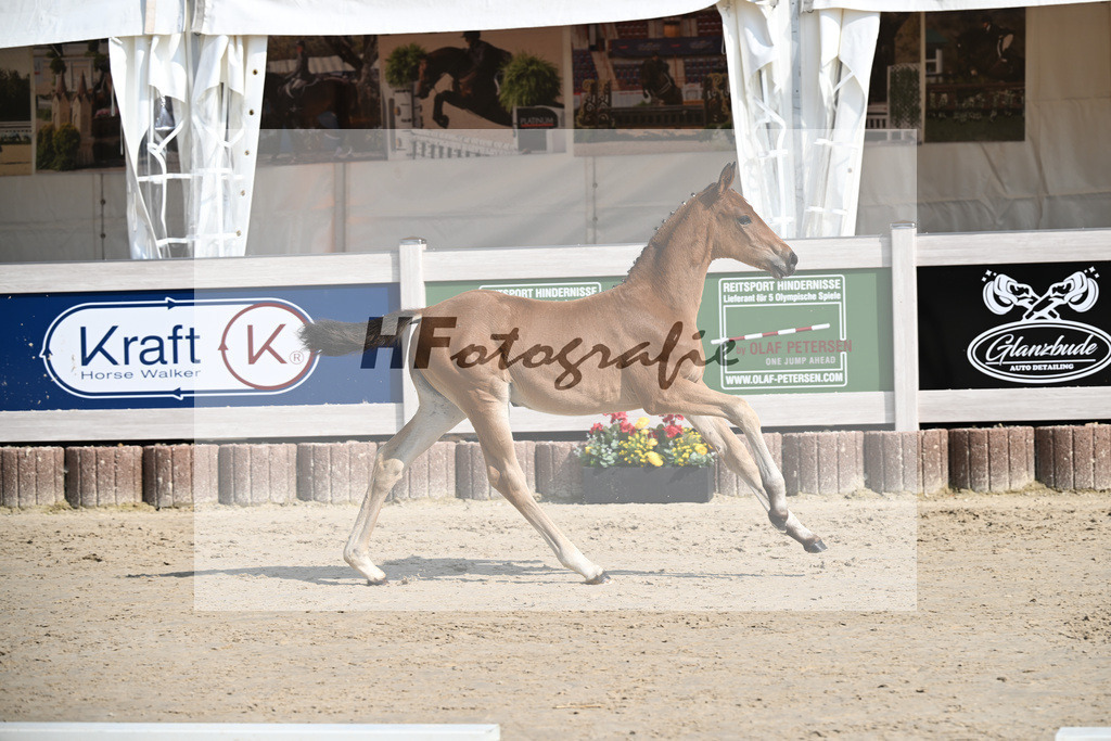 Feliciano x Danone I_SF_Huber_12250116 | hf-fotografie - Realisiert mit Pictrs.com