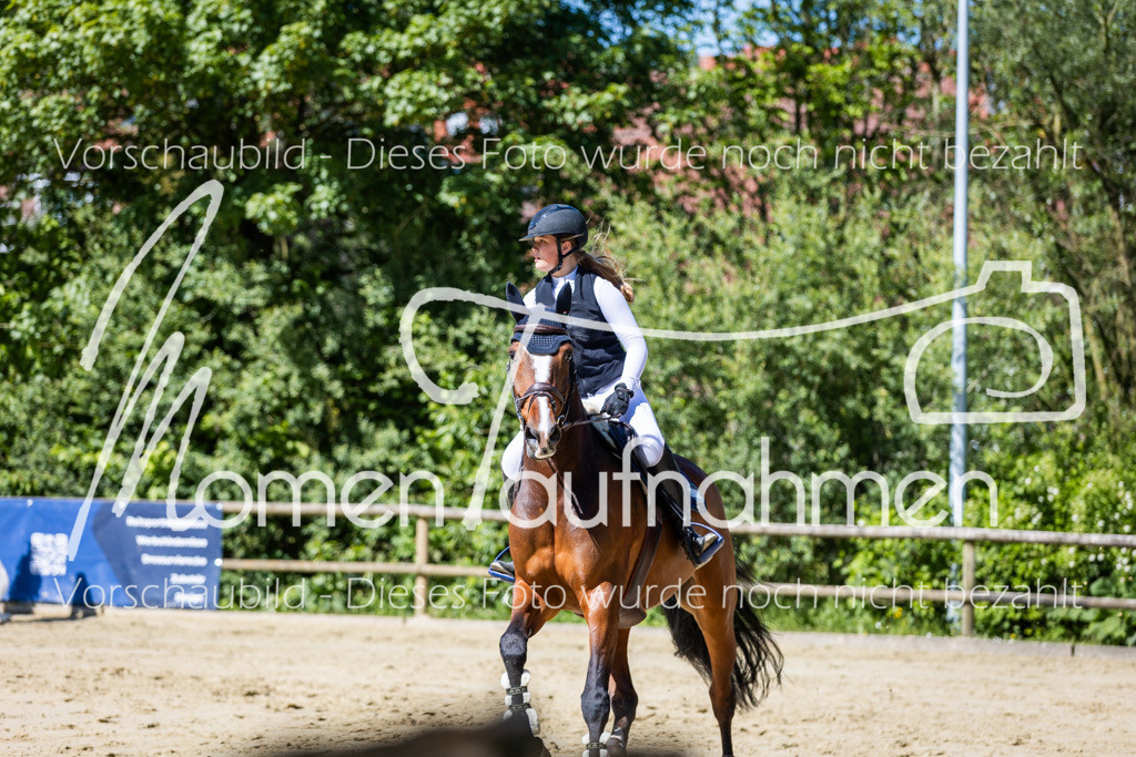 Donop24-M-Spr-056 | MomenTaufnahmen Pferdesportfotos