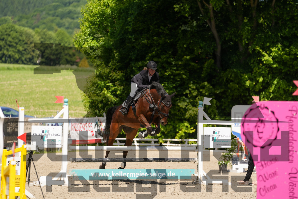 DSC02295 | Julian Held Fotografie - Realisiert mit Pictrs.com