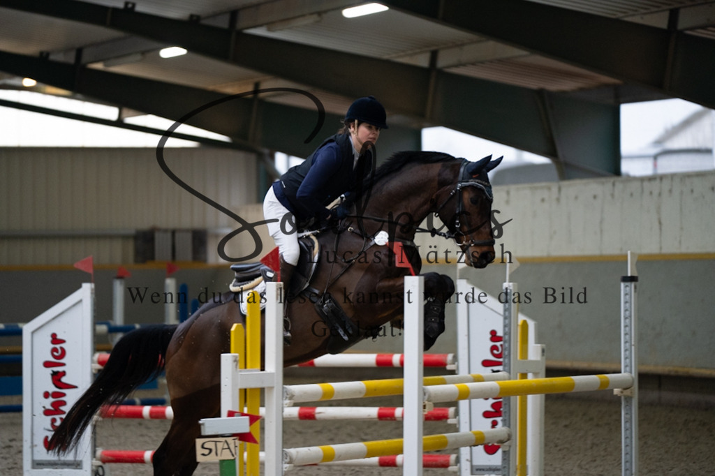 A7V08865 | Pferdefotograf