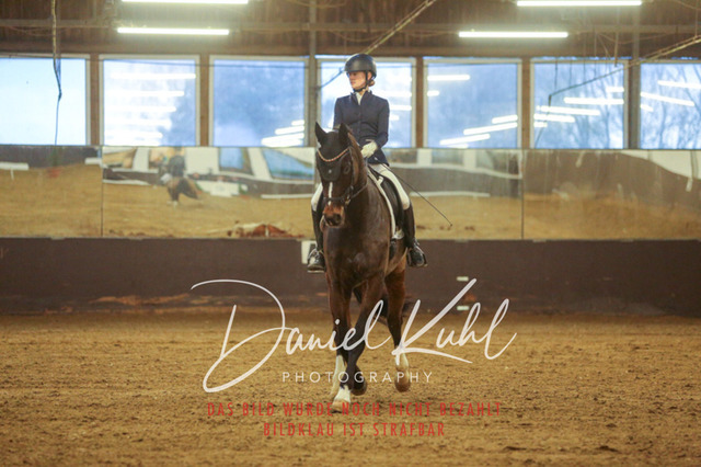 IMG_7022 | Turniersportfotografie; Pferdefotografie; Dressurfotografie