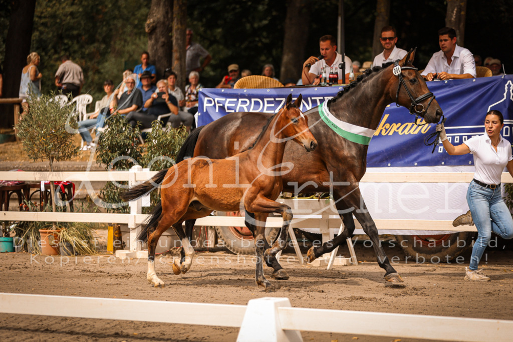 SaPA00010 | Leoni Ertmer Photography - Realisiert mit Pictrs.com