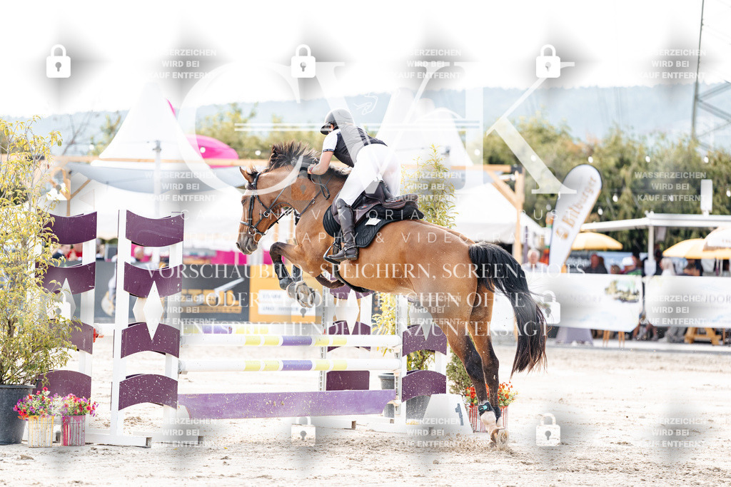 CK906822 | Turnierfotografie Pferdefotografie Trier Rheinland-Pfalz Pferdesport Reitsport Tierfotografie Sportfotografie Pferdevideo Pferdevideografie Equestrianvideography equestrianphotography  - Realisiert mit Pictrs.com