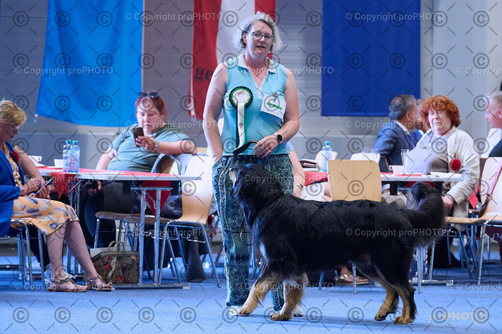 202406_ÖKV-IHA-Tulln24_DSC_3840 | proPHOTO - Realisiert mit Pictrs.com