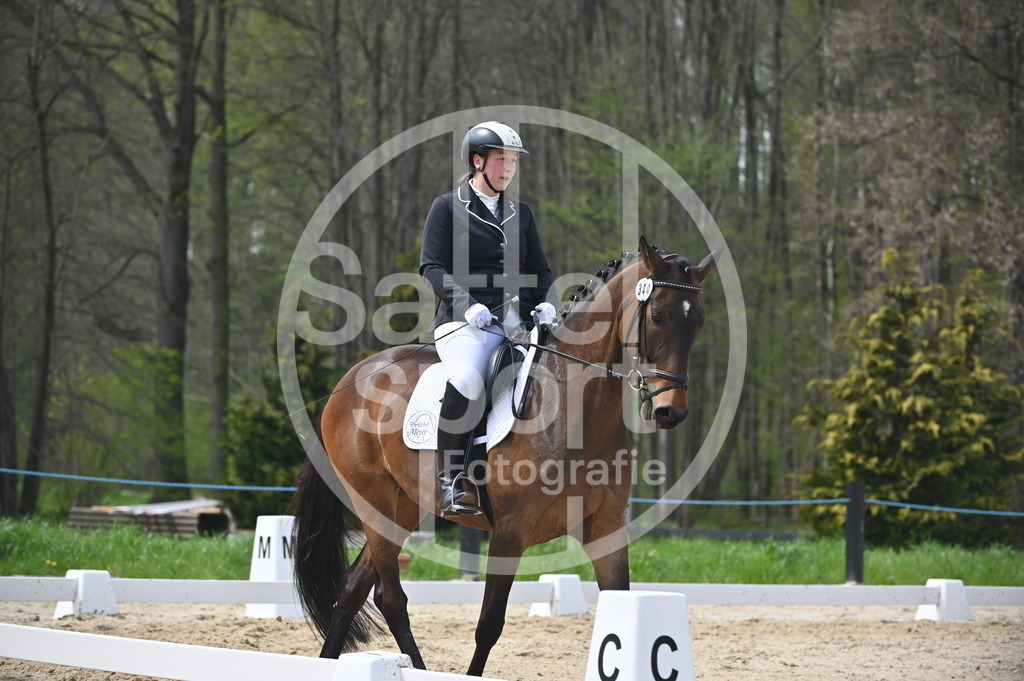 DSC_3274 | sattelsport - Realisiert mit Pictrs.com