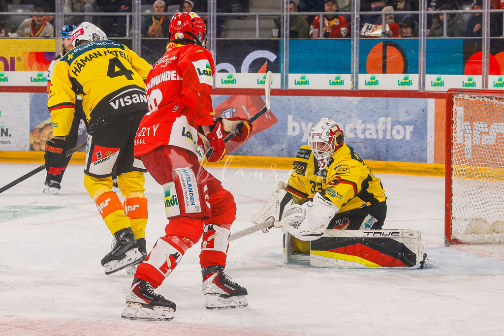 EHCB vs SCB 20260110_wb-3234 | Sportbilder, Sportfotograf, Hochzeits- und Eventfotografin, Flugshows, Portraits und Tiershooting, Aviation, Downhill, Nationalleague, Swissleague, International