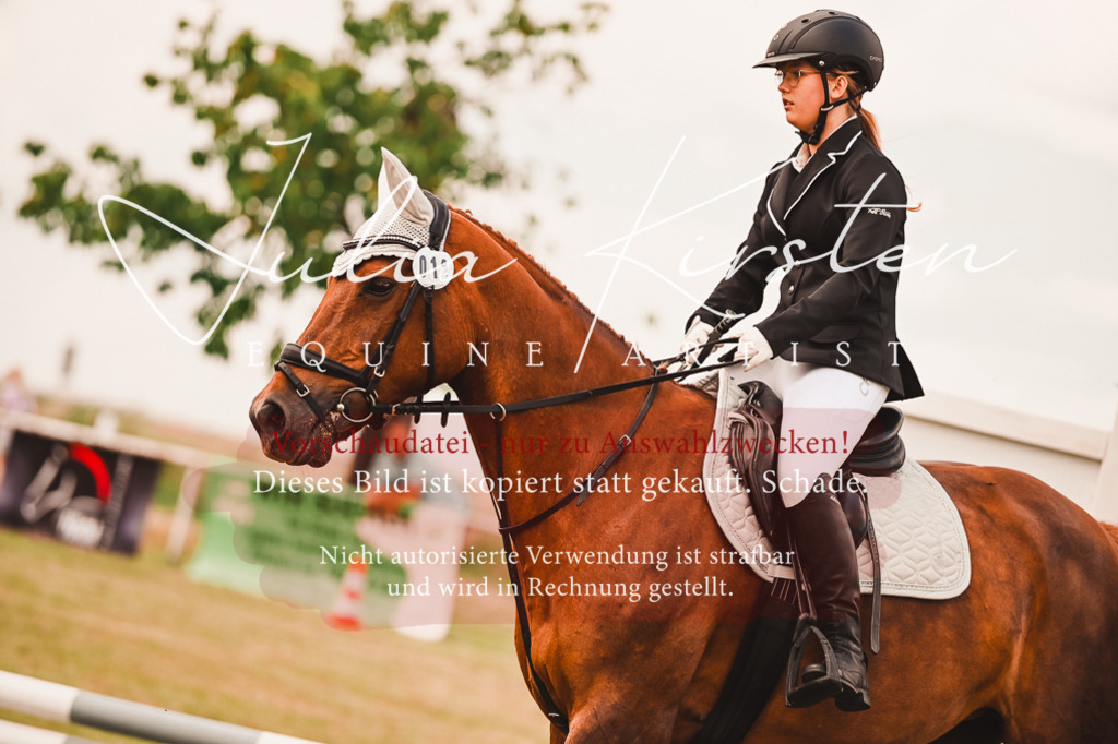 DSC_6851 | Pferde- und Turnierfotografie in Westsachsen. Pferdeportraits, Auftragszeichnungen und intuitive Kunst.