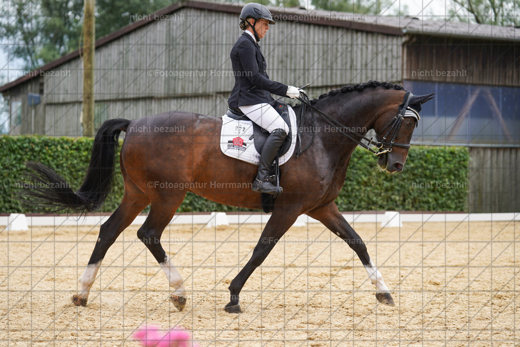 20240630-FAH02039 | Turnierbilder Schwabmünchen, Dressurbilder, Springreitturnier, Reitsportbilder, Turnierfotografen Bayern, Turnierfotograf