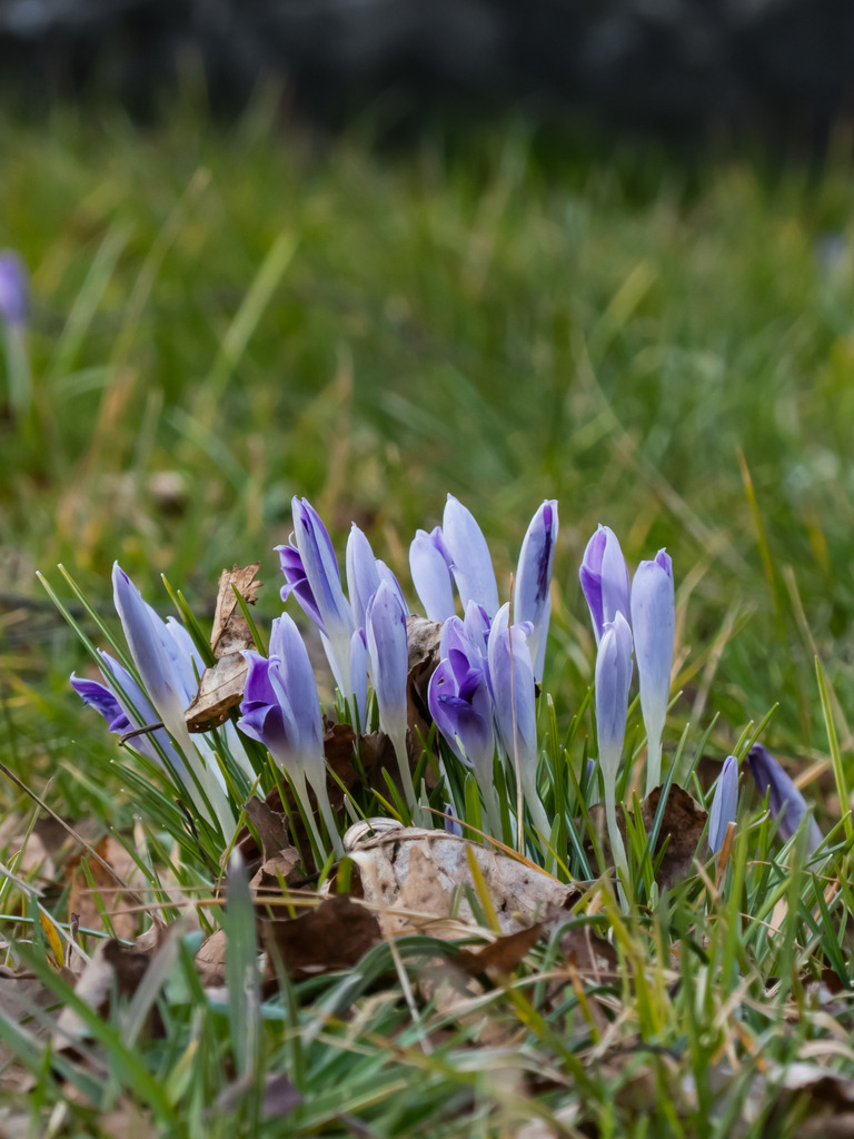 PSX_20230305_224607 | mtkfoto_ - Realisiert mit Pictrs.com