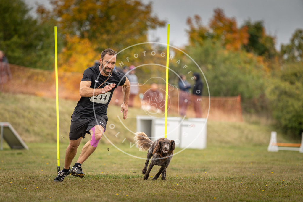 Pfotenfotografie_DV3A5572 | Hundefotografie, Tierfotograf, Pfotenfotografie, Fotoshooting Hund, Hunde Portrait, Hundesport, Hundeportraits, Heideshooting, Hunde, Sportfotograf, Hundefotograf, Turnierhundsport, THS,  - Realisiert mit Pictrs.com