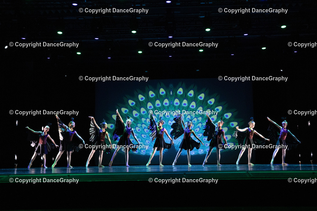 GPHY6159 | DanceGraphy - Realisiert mit Pictrs.com