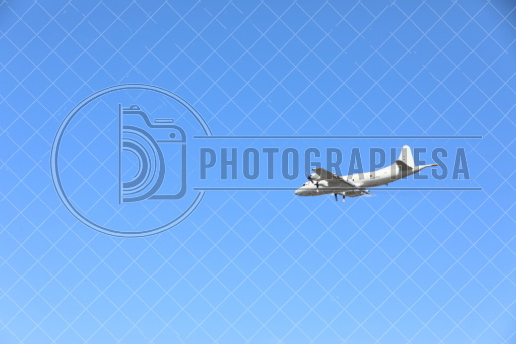 IMG_8800 | photographesa-joergens - Realisiert mit Pictrs.com