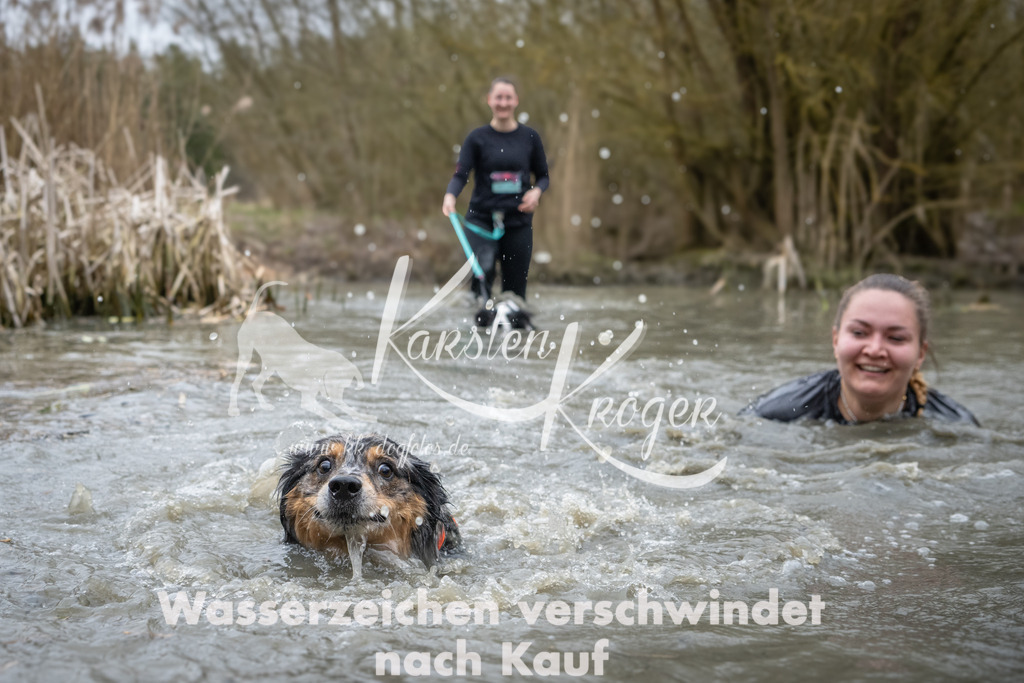 1039_ZZ91767 | kk-dogfotos