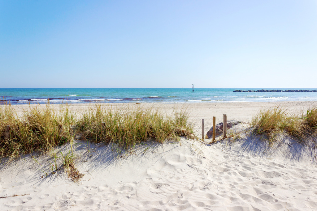 Wandbilder: Strandgras am Meer in Damp | Dieses Wandbild im Querformat zeigt einen Sandstrand an der Ostsee in Damp. Im Vordergrund ist schöne lockere, weiße Sandstrand zu sehen. Holen Sie sich dieses frühlingshafte Wandbild nach Hause, in Ihre Ferienwohnung, ins Büro, den Arbeitsplatz oder die Praxis. Es ist als Leinwand, als Acrylglas/Glasbild und Aluminium-Platte in vielen Abmessungen erhältlich.  - Realisiert mit Pictrs.com