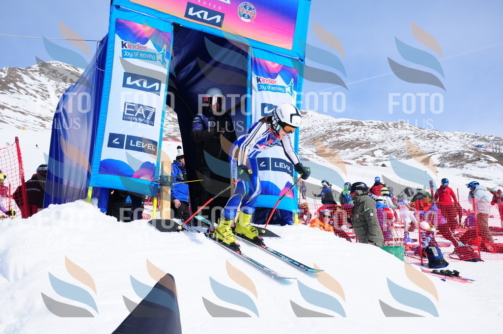 DSC_5363 | holidayphoto