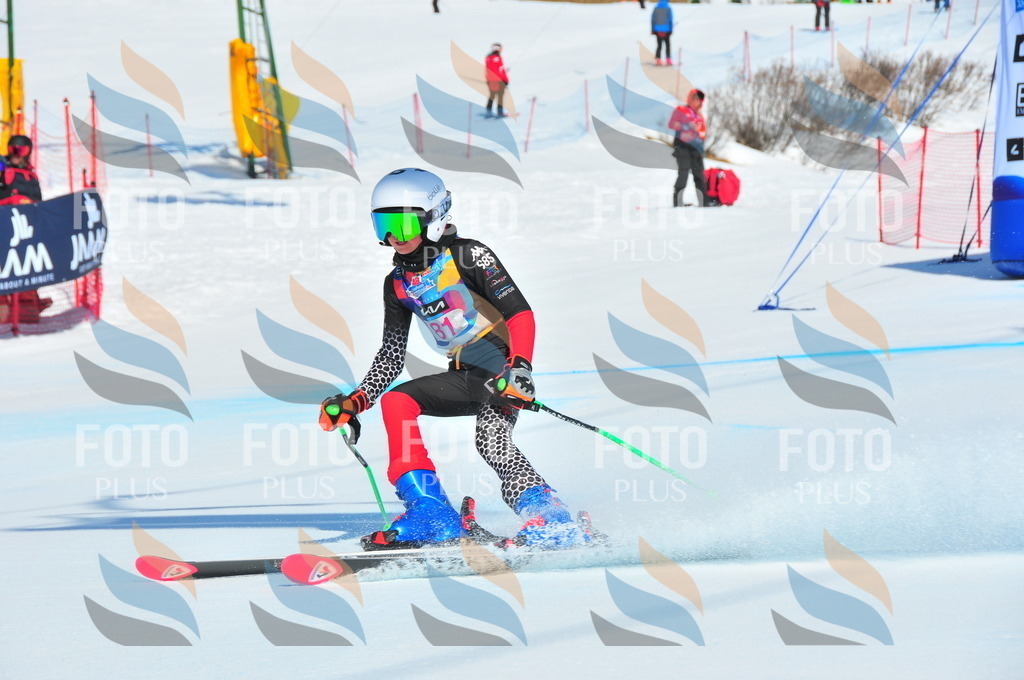 DSC_4401 | holidayphoto