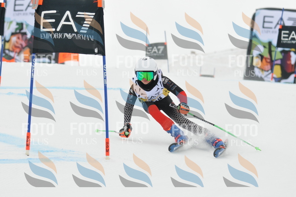 DSC_8249 | holidayphoto