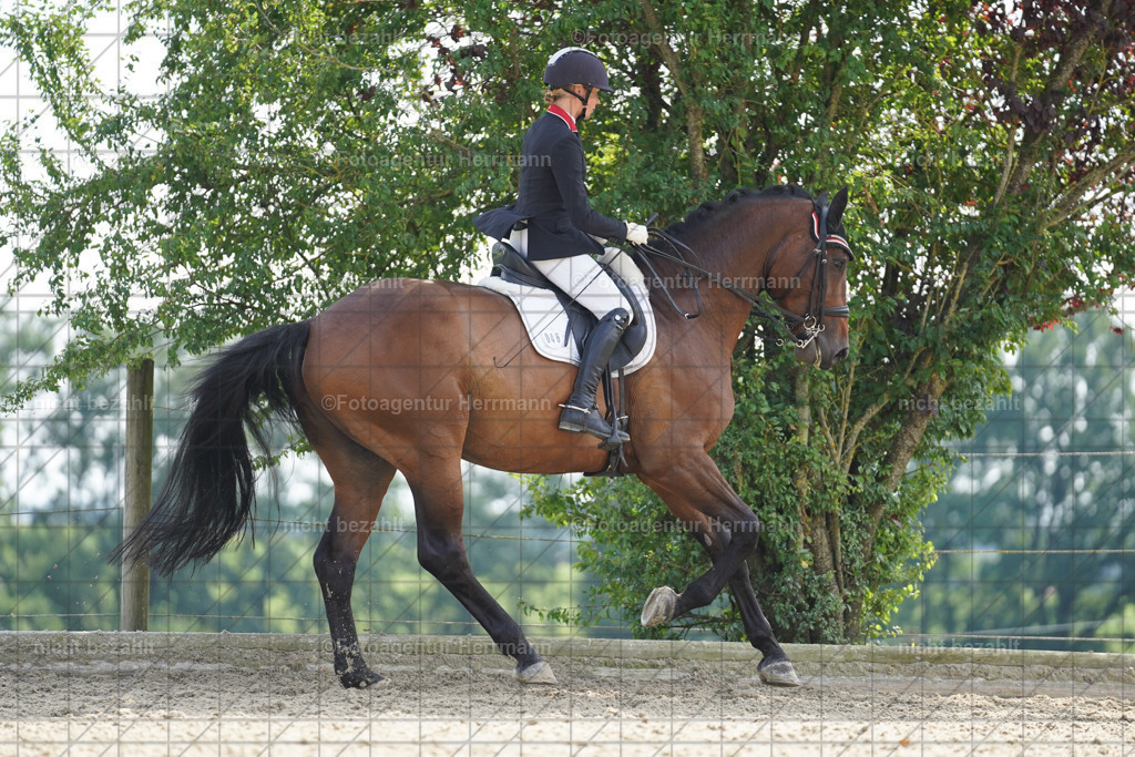 20230826-FAH06038 | Forstinning, 2023, Dressurturnier, Turniersportbilder, Turnierfotografen Bayern, Fotoagentur Herrmann, Reitsportfotografie, Turnierbilder