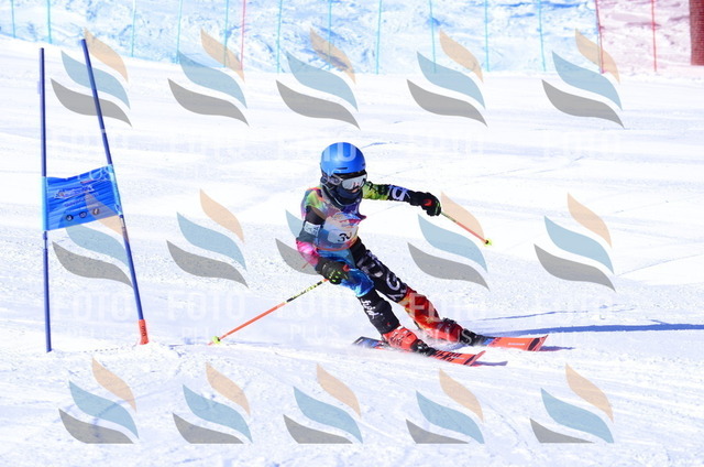 B2469 | holidayphoto