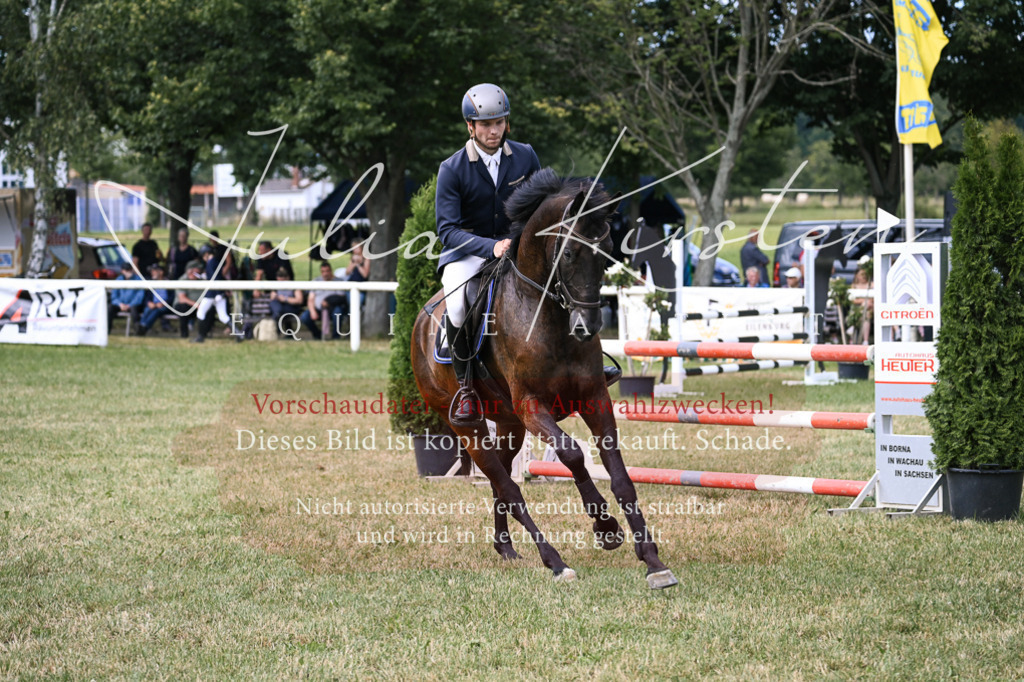 DSC_0621 | Pferde- und Turnierfotografie in Westsachsen. Pferdeportraits, Auftragszeichnungen und intuitive Kunst.