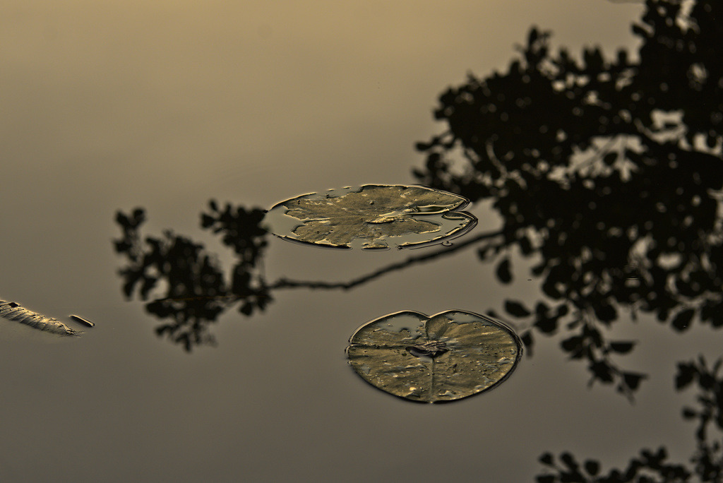 Hausboot auf der Peene 2022 | Urlaub mit Karen Sofia und Matias - Realisiert mit Pictrs.com