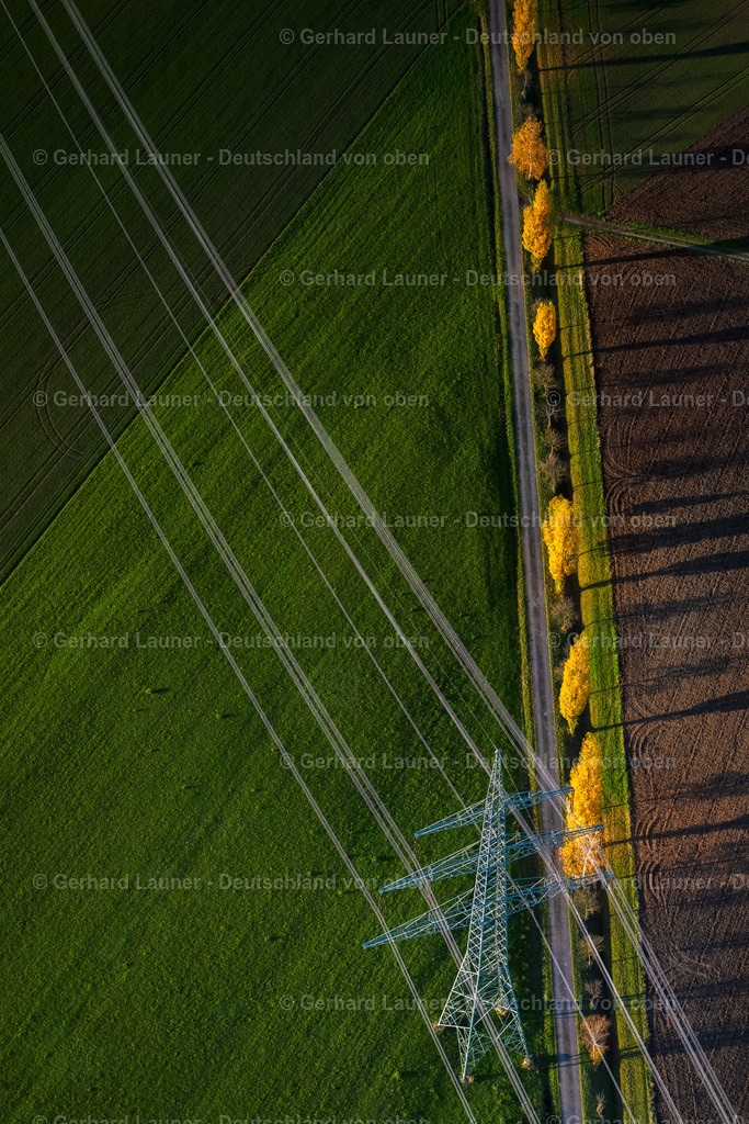 4042856 | GREUTH 05.11.2020 Herbstliche verfärbte Vegetationsansicht Baum- Reihe unter Hochspannungsleitung auf einem Feld in Greuth im Bundesland Bayern, Deutschland. // Autumnal discolored vegetation view Row of trees under high voltage line on a field in Greuth in the state Bavaria, Germany. Foto: Gerhard Launer