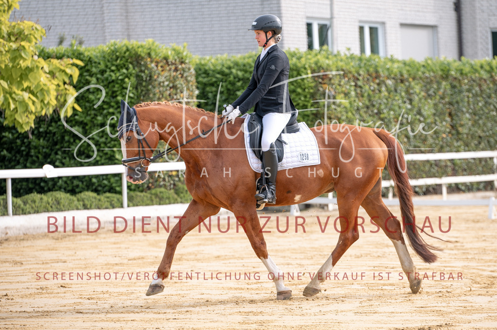Schugtsche-Aluta25-40.DressurprfA_-30 | Schugtsche Fotografie - Realisiert mit Pictrs.com