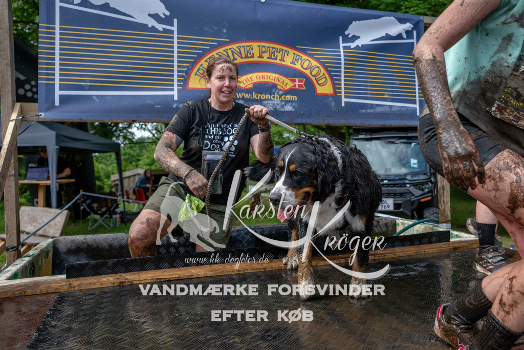 1123_ZZ93950 | kk-dogfotos