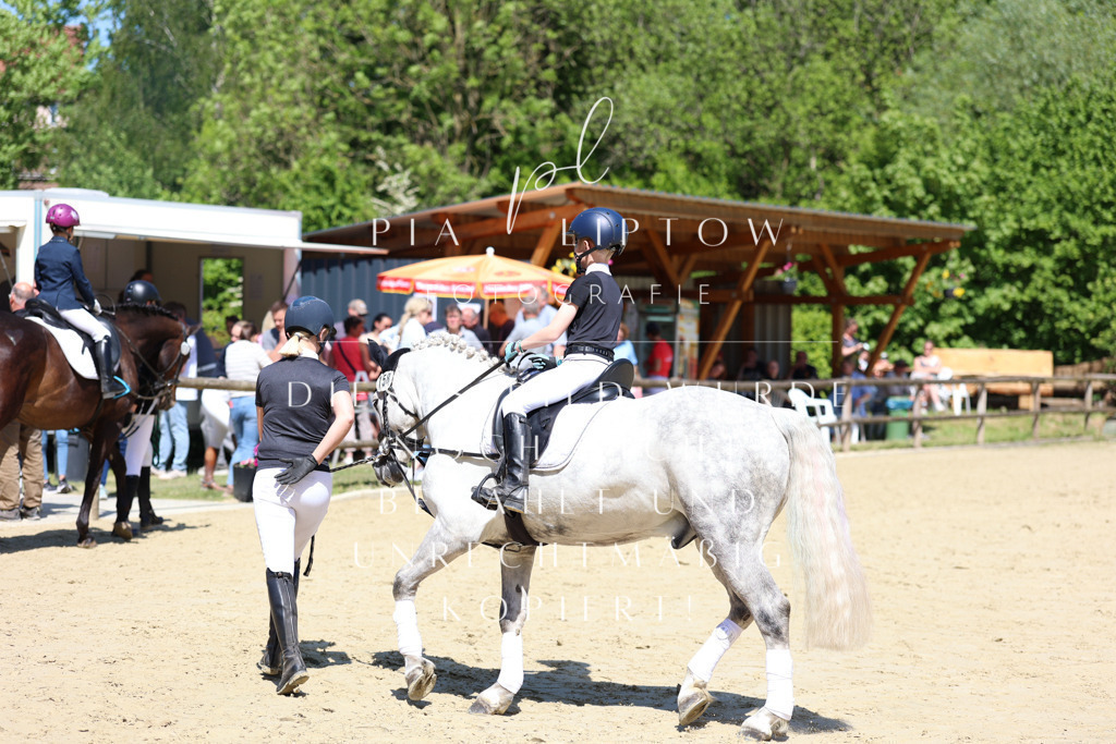 IMGS7828 | pl-fotografie