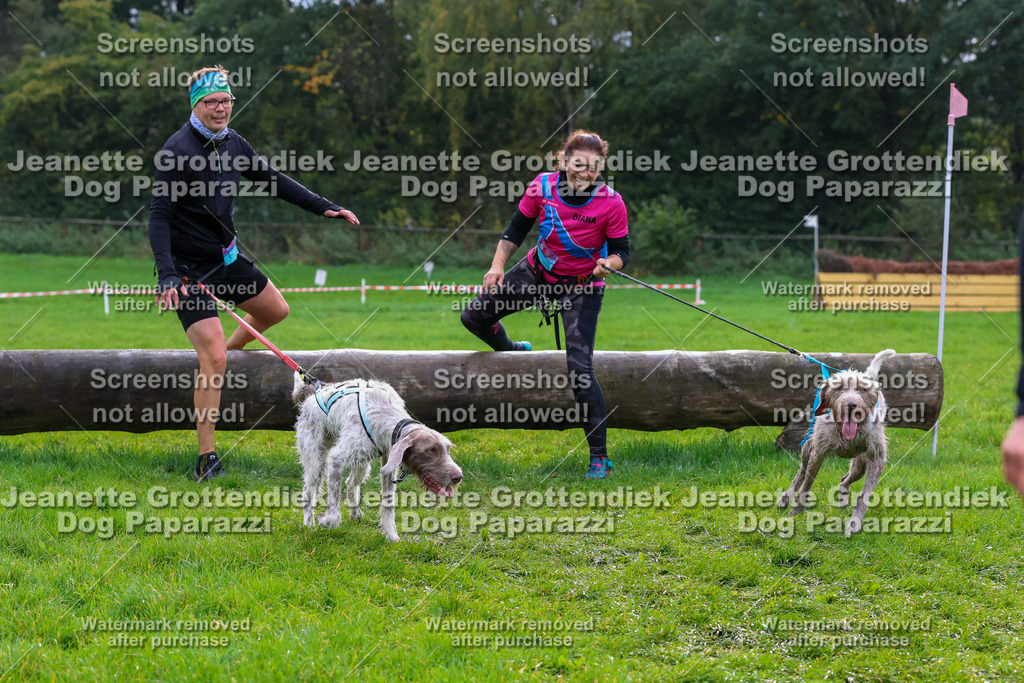 Dog Paparazzi -  SD1026-1961 | Dog Paparazzi Jeanette Grottendiek Fotografie & Videografie - Realisiert mit Pictrs.com