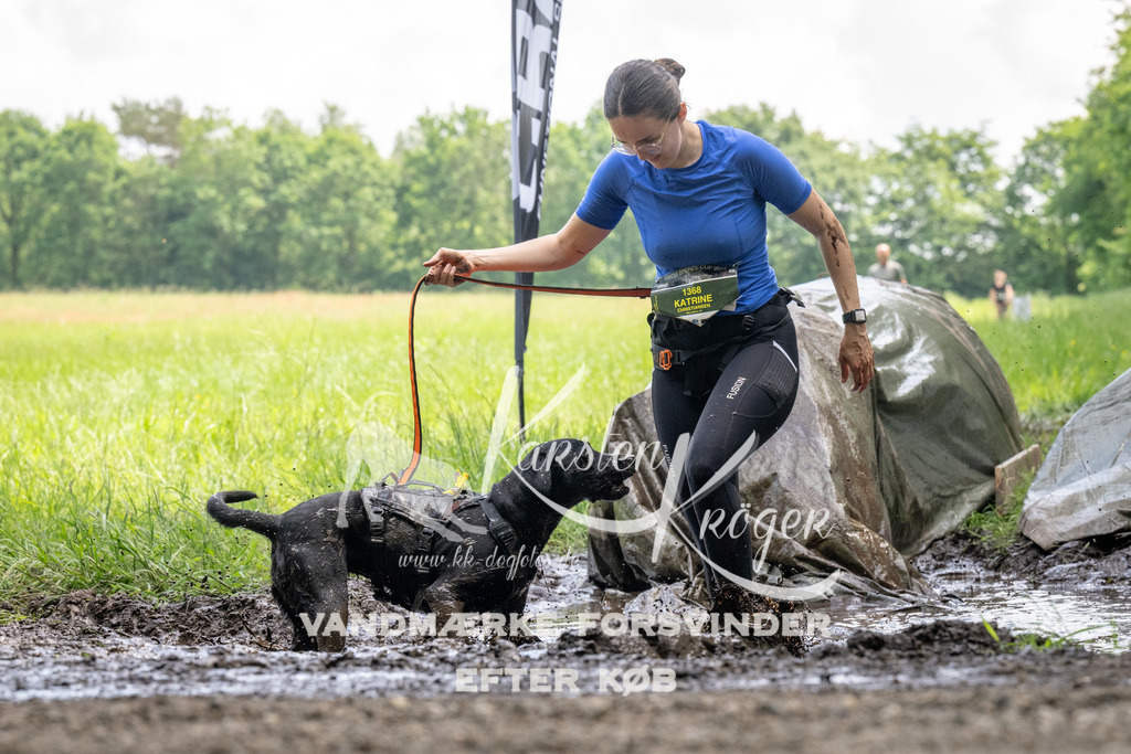 1148_ZZ94594 | kk-dogfotos