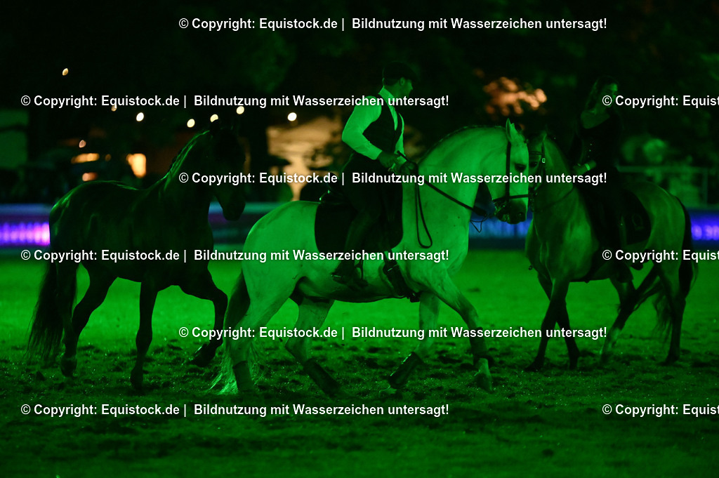 20240517_Lange-Pferdenacht_0978 | Foto: Thomas Hartig