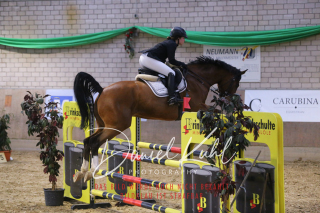 IMG_0794 | Deine Turnierfotos vom Reitturnier online kaufen: Dressur, Springen & Siegerehrung. Professionelle Pferdefotografie aus dem Rheinland – als Download & Print.Alternative: Turnierfotograf für den Pferdesport: Finde deine Fotos von Dressur- und Springturnier