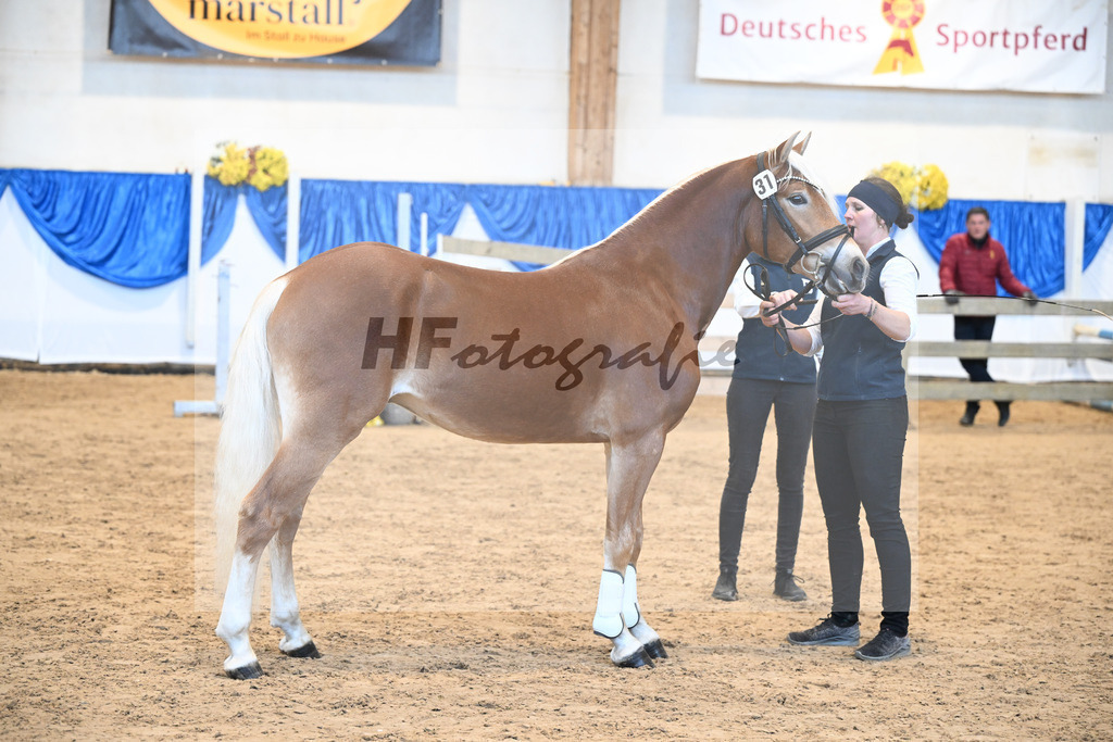 Kat-Nr. 31 Weinbrand v. Weingold S_Brugger_48250690 | hf-fotografie - Realisiert mit Pictrs.com