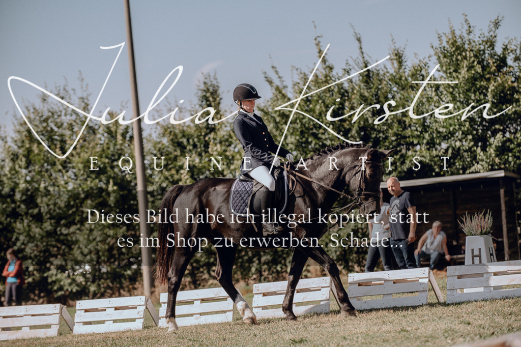 DSC_7276 | Pferde- und Turnierfotografie in Westsachsen. Pferdeportraits, Auftragszeichnungen und intuitive Kunst.